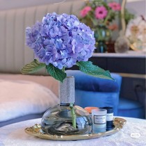 Outlet Transparent Grey Color Drill Decorated With Bottle Mouth Hydroponic Vases Big Belly Flowers Rose Peppers Decorate Hem