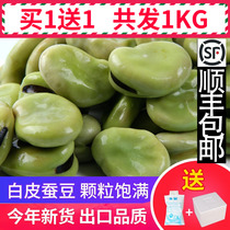 Frozen broad beans Raw broad beans Fresh old broad beans Orchid beans Frozen broad beans vegetables Hotel catering vegetables Commercial