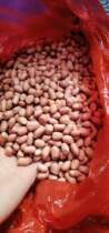 2021 raw peanuts hand-peeled peanuts Jiangxi self-planting will germinate 1 Jin