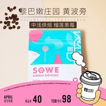 Patchtaste Colombian Lebanon Estate Yellow Bourbon Anaerobic Washed Boutique Coffee Bean Graced Powder 120g