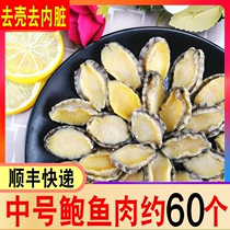 Fresh abalone meat frozen 300g about 70 pieces of shelled deep sea abalone seafood aquatic products commercial wholesale