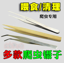 Reptile tweezers feeder special ultra-long feeding tool snake lizard spiders feed straight elbows to clean up feces