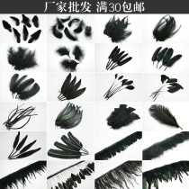 22 styles diy black feathers craft decorative feathers wedding feather material angel wings feathers