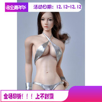Spot 1 6 Soldiers Woman Clothing Silver Color Bikini 2017 New Gamelan PH All-Bag Gel Female Vegan Body