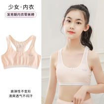 Girl Lingerie Hair Nursery School Pupils Pure Cotton Sports Bra Junior High School Children Mural Obliteration Harnesses Vest 13