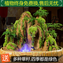 Absorbing stone rockery water stone bonsai indoor micro landscape plant decoration tree small ornaments fish tank running water fountain fog