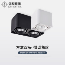led Downlight double head Villa living room household square COB spotlight porch aisle corridor ceiling lamp
