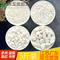 Color size rain flower stone pebbles white stone fish tank big goose soft stone potted white stone potted white stone ceramsite decoration