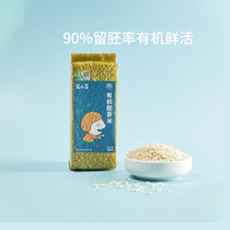 Nest small bud organic germ rice vacuum rice nutritious porridge rice 500g * 1 bag for Children Baby supplementary food recipe