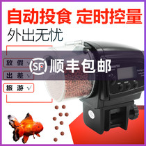 Daily automatic feeder fish tank automatic feeder aquarium fish feeder AF2003 2009D 2005D