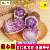 Flower heart potato sweet potato little sweet potato ice cream potato sweet potato white water village sweet potato sweet potato ghost hit potato 5kg