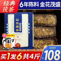 Black Tea Hunan Anhua Anhua Black Tea Classic Fu brick Tea Jinhua Fu Tea Anhua Authentic Ximuyuan tea