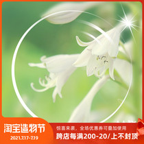 1 56 Aspherical flat lens Anti-blue light Anti-radiation anti-fatigue plus hard eyeglass lenses A pair of economical