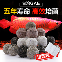 Taiwan gae bacilli no1 filter ceramic ring fish tank bacterial house ac nitrifying bacteria aquarium filter material