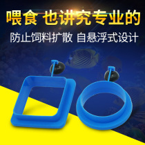 Fish tank feeding ring feeder aquarium feeding floating ring feeding fish feed