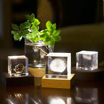Japan Imports Twodo Solid Wood Charging Lamp Holder Sola Cube Handicraft Pendulum Beech Walnut Wood Base