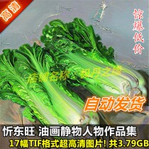 Oil painting Ultra High Qing Photo Xin Dongwang Works drawing Set of 17 characters Chinese cabbage Jingrem material Print spray painting complete