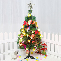 Christmas 60cm mini Christmas tree set with fruit lights glowing desktop Christmas tree Christmas decoration