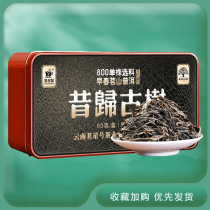 Mingxing in the early spring of 2021 the ancient tree Puer tea raw tea loose tea iron box 60g box