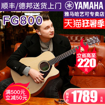 Yamaha guitar FG800 folk veneer wood guitar FGX800C electric box piano male and female students 41 40 inches