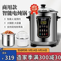 Yongxing electric stew pot stainless steel water stew cup cooking porridge soup automatic reservation 16L large capacity commercial double gallbladder