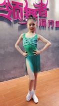 Jacks GB Carmen Wizard of Oz Children's Latin Dance Practice Suit Green Tassel Competition Performance
