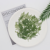 Artemisia annua flower plant leaf specimen epoxy mobile phone shell children bookmark photo frame stickers DIY handmade materials