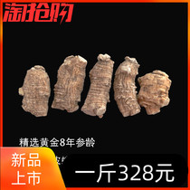 Citi Ginseng Grain Head Authentic American Ginseng Grain 500 gr Bulk Citi Ginseng Oldest 6 years Root