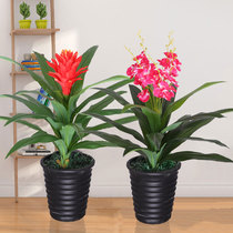 Fake flower simulation flower Living room decoration Floor-to-ceiling plastic flower Indoor simulation plant fake tree Simulation tree Lucky Phalaenopsis