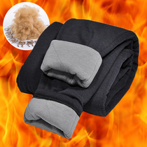 Winter middle-aged mens cotton pants camel plush three layers thickened warm elastic high waist dad outfit inside and outside Grandpa large size