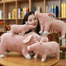 Simulation pig doll doll Plush toy Pig doll pig doll Bed sleeping pillow Girls  day gift