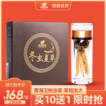  Yala Zuo wild Cordyceps 4 g Yushu Cordyceps Tibetan area direct supply gift box flagship store