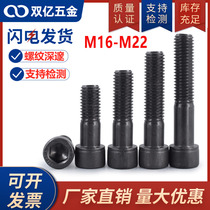 12 Class 9 hexagon screws High strength cup head bolts hardened cylindrical head M16 cm M18M20M22 large