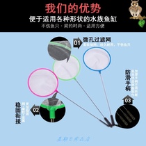 Fish fish fishing nets for fishing nets fishing nets goldfish tropical fish tropical fish fishing for fishing nets small holes in fish fishing nets