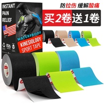 Athlete Special Muscle Stickup Sports Raw Sports Bandage Elastic Self-adhesive Intramuscular to stick with ankle pull and stick elasticity