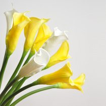 10 branches PU material simulation flower elegant Calla Lily F566