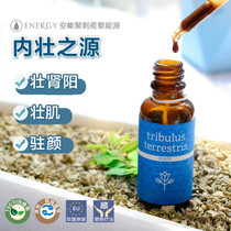 Czech Anneng Ju Neijiang energy Tribulus terrestris muscle strength anti-aging blood vessels purification kidney new product energy