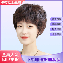 The wig is full of real-haired middle-aged and old-age ladies and mothers covering their white hair