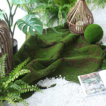 Emulation Turf Moss Ground Grass Balls Vegetal View Hotel Office Tea House Cafe Shop Window Decoration