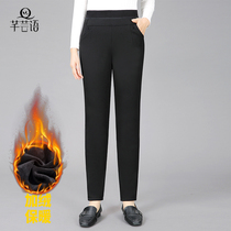 Winter thickened and velvet straight pants 2021 middle-aged casual pants mother pants elastic high waist stretch warm