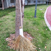 Sanitation bamboo sweep the road to sweep the outdoor workshop courtyard broomstick factory school sweep the yards broom