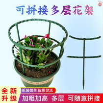 Indoor fixed crab claw orchid flower bud support bracket crab claw Lotus potted orchid special fixed frame flower stand