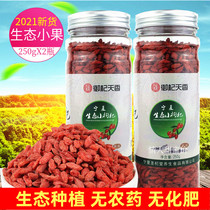 Ningxia Chinese wolfberry Zhongning Origin Small Gongqi canned red wolfberry dry bottle 500g1kg male kidney