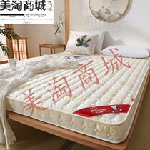 Warm sponge breathable mattress cushion home padded Simmons practical super thick non-slip super soft rental quiet