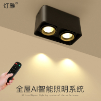 LED Surface mounted downlight Spot light Remote control dimming square double head ceiling light Shop commercial ceiling lighting Bold light