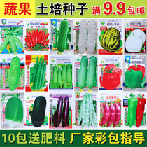 Fruit and vegetable seeds Family vegetable garden Balcony four seasons soil cultivation pepper tomato Tomato cucumber okra Bitter melon Loofah