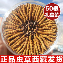 Cordyceps Flagship Store Cordyceps Dry 5 1g Cordyceps Gift Gift 10g gift box