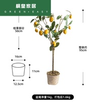 Simulation plant small potted plant decoration fake flower lemon tree living room Nordic ins Wind floor ornaments green plant Net Red