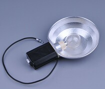 Kodak Flash with Disposable Bulb with Synchronization Line retina