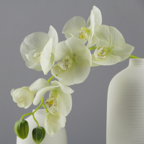 Simple modern green White over glue high simulation flower glue hand feel silk flower Phalaenopsis high grade vase flower arrangement